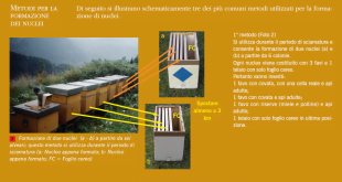 Metodi per formare nuovi nuclei