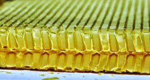 Sezione di un favo stampato