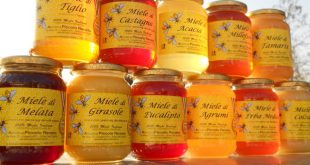 Barattoli di miele di diverso tipo