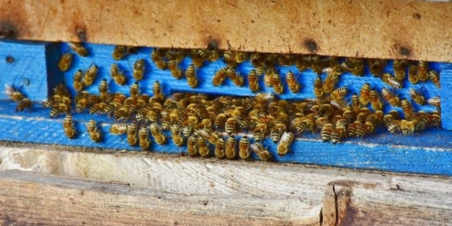 osservazione dalla porticina