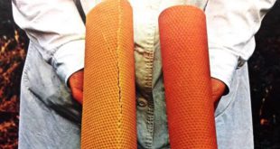 Come riconoscere i fogli cerei, di pura cera d’api