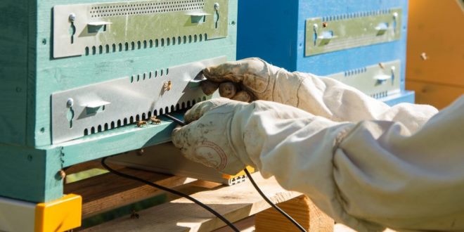 Il professor Dirk De Graaf