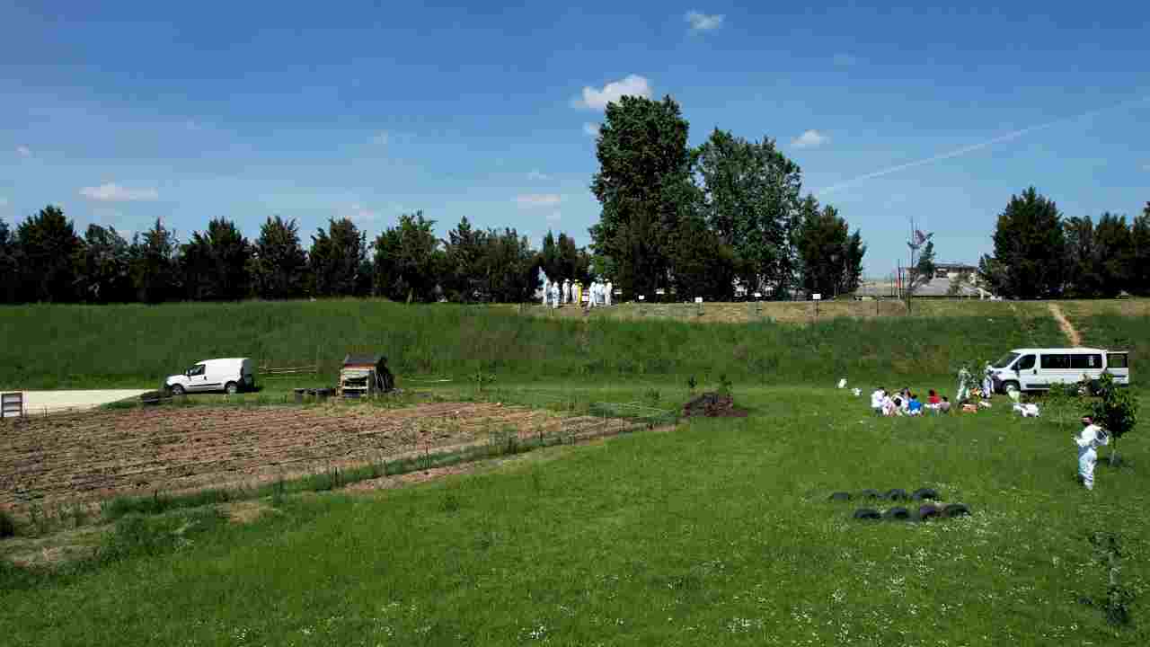 L’apicoltura urbana per la sensibilizzazione ambientale