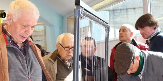 Arpa elettrica e altre trappole contro Velutina