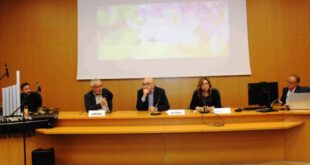 “Le api ci curano”