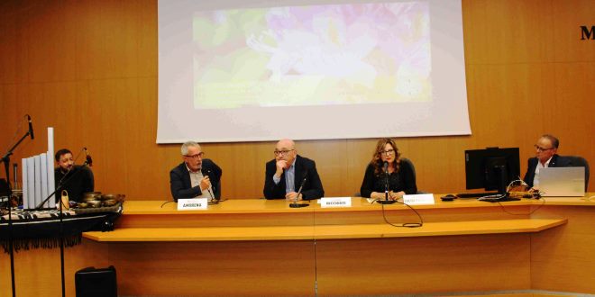 “Le api ci curano”