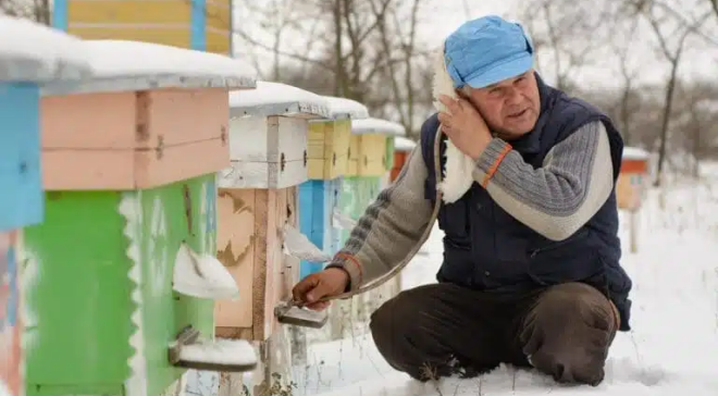 Febbraio: Preparativi e Attività per l'Apicoltore durante le giornate
