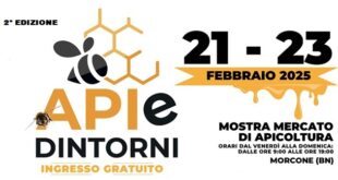 Econda edizione Api e Dintorni