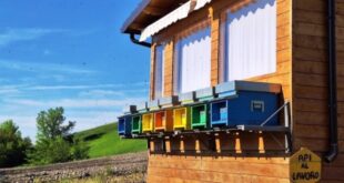 L’Apiario del benessere