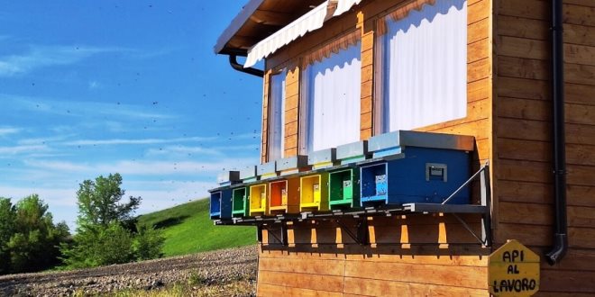 L’Apiario del benessere