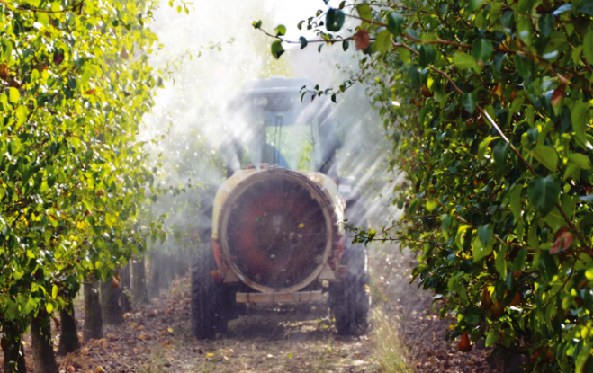 Tossicità delle sostanze attive nei confronti delle api.