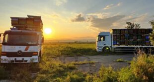 Giugno 2025: indagine meteorologica, produttiva ed economica