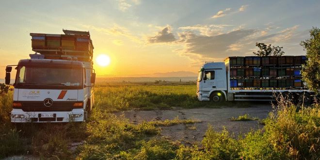 Giugno 2025: indagine meteorologica, produttiva ed economica