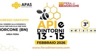 API e Dintorni 2026 – Programma