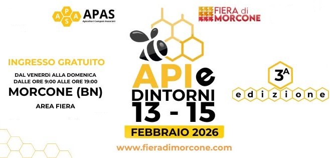 API e Dintorni 2026 – Programma