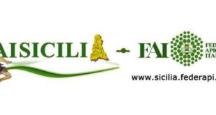 Anagrafe Apistica Nazionale e dati sull’apicoltura