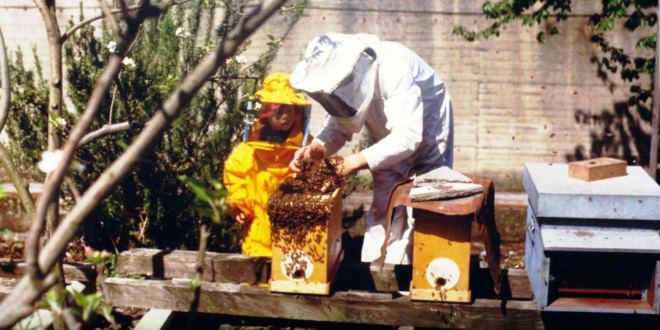 Osservazione e Pianificazione degli Interventi in apiario