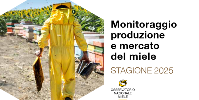 Report Annuale 2025: Produzione e mercato del miele