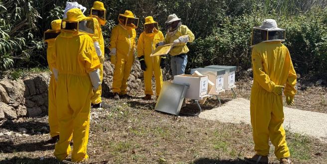 Apicoltura aziendale: Sasol Italy attiva nuovi apiari ad Augusta