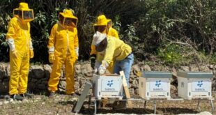 Apicoltura aziendale: Sasol Italy attiva nuovi apiari ad Augusta