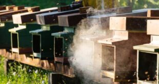 Marzo 2026: indagine meteorologica, produttiva ed economica