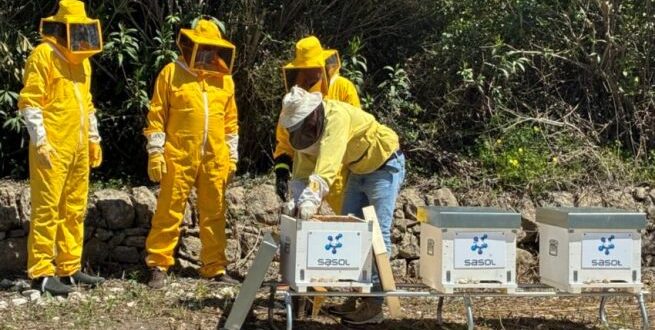 Apicoltura aziendale: Sasol Italy attiva nuovi apiari ad Augusta