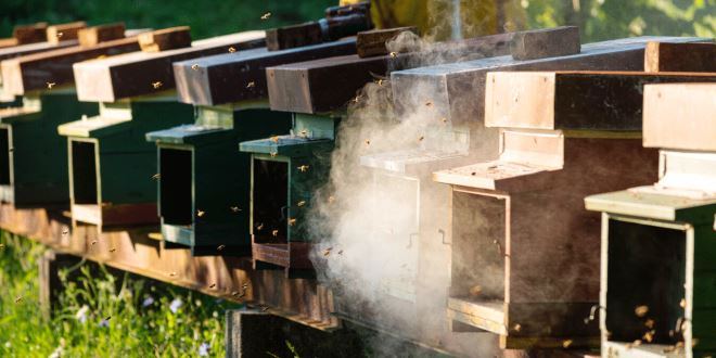 Marzo 2026: indagine meteorologica, produttiva ed economica