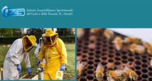 Api, biodiversità e salute pubblica