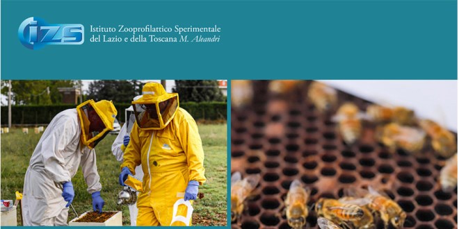 Api, biodiversità e salute pubblica
