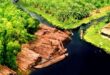 La foresta del miele: gli apicoltori di U Minh Hạ