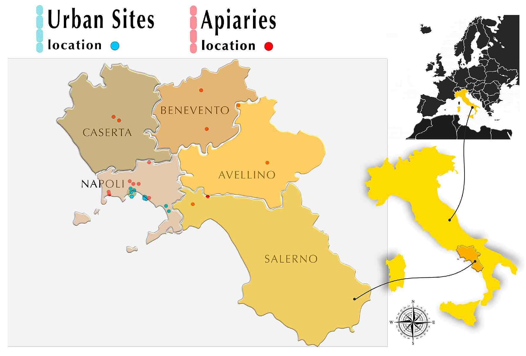 Secondo le ricerche, le proteine sono l'esca migliore per i calabroni orientali.