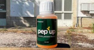 L'Unione Europea approva Pep'Up, l'integratore di molibdeno per le api.