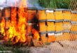 FAO, Un nuovo manuale per la disinfezione e l'eradicazione delle api malate